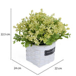 Milan Flower Potted Plant- Green