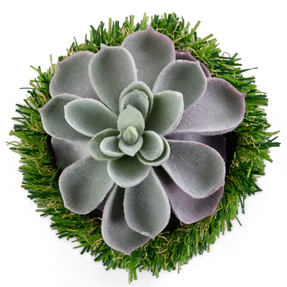 Algae Leaf Potted Plant- Green