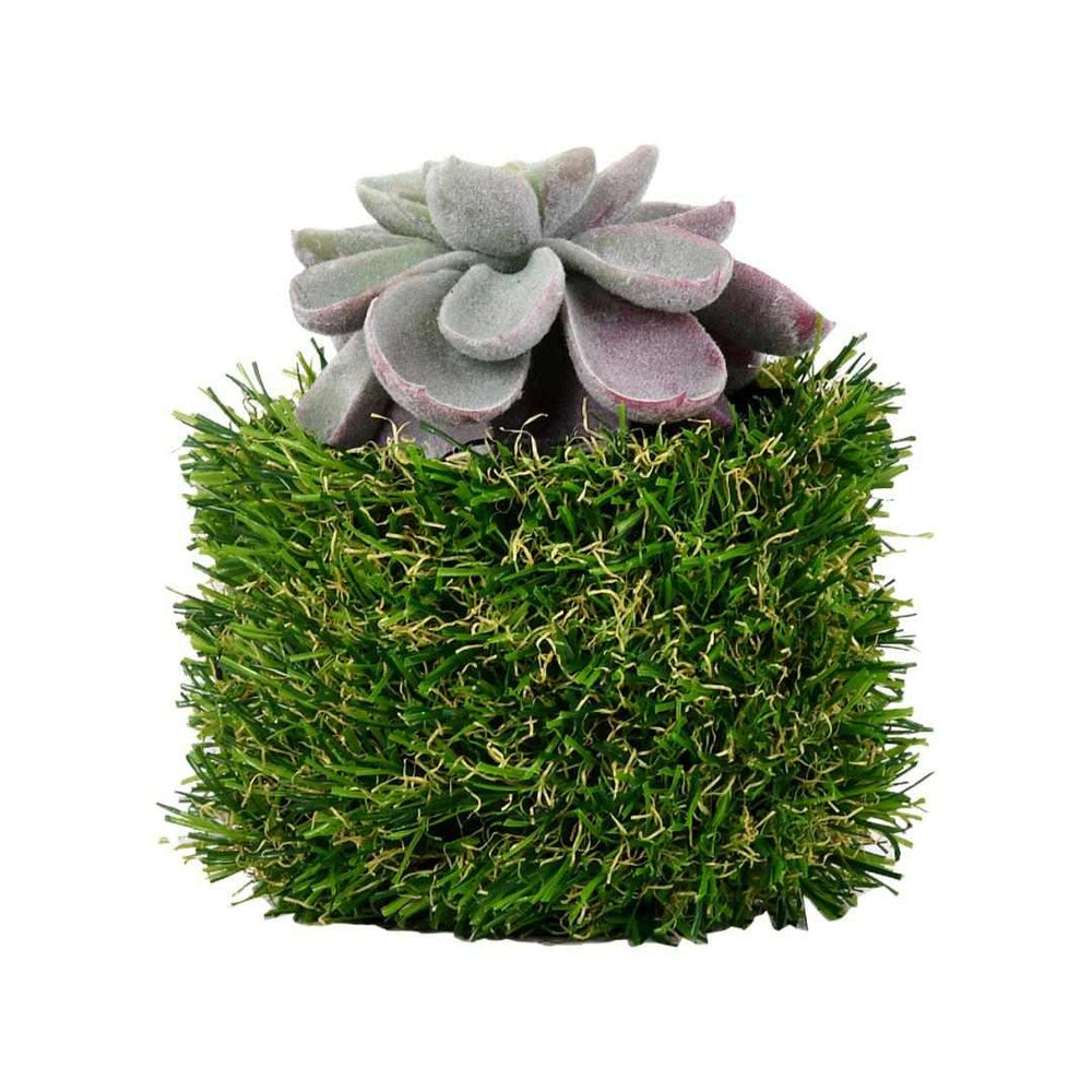 Algae Leaf Potted Plant- Green