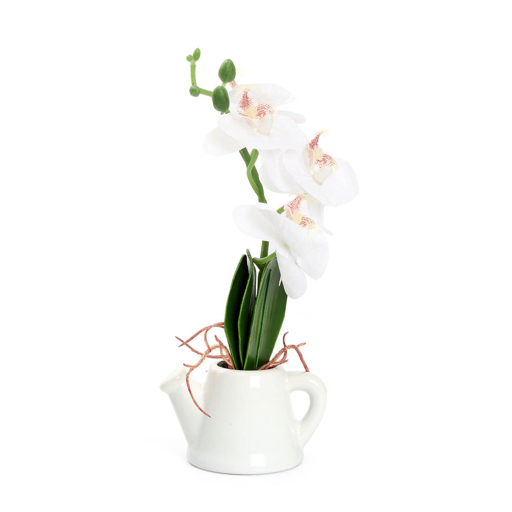 Orchid Teapot Potted Plant (White)