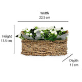 Rose Buds Basket Potted Plant (White)