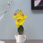 Orchid Teapot Potted Plant (Yellow)