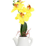 Orchid Teapot Potted Plant (Yellow)