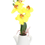 Orchid Teapot Potted Plant (Yellow)