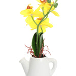 Orchid Teapot Potted Plant (Yellow)