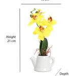 Orchid Teapot Potted Plant (Yellow)