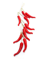 Nilkamal Artificial Chillies Bunch (Red)