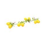 Artificial Lemon Bunch- Yellow