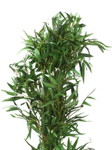 Artificial Bamboo Tree- Green